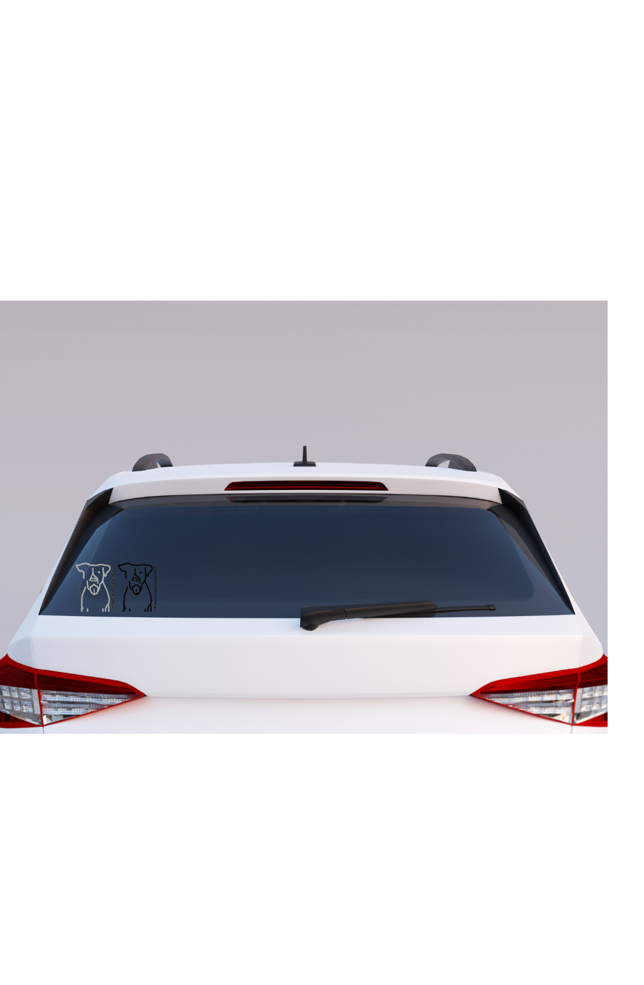 DRP car decal